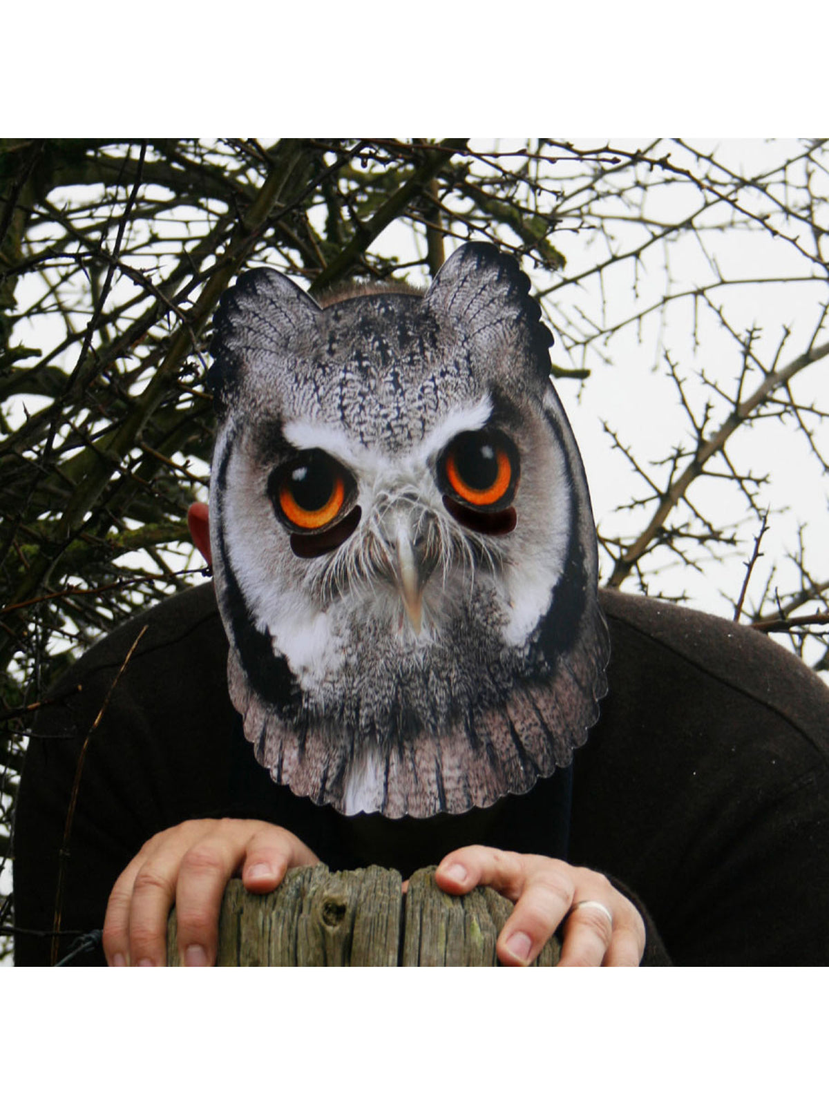 Rubies Owl Animal Mask Maske