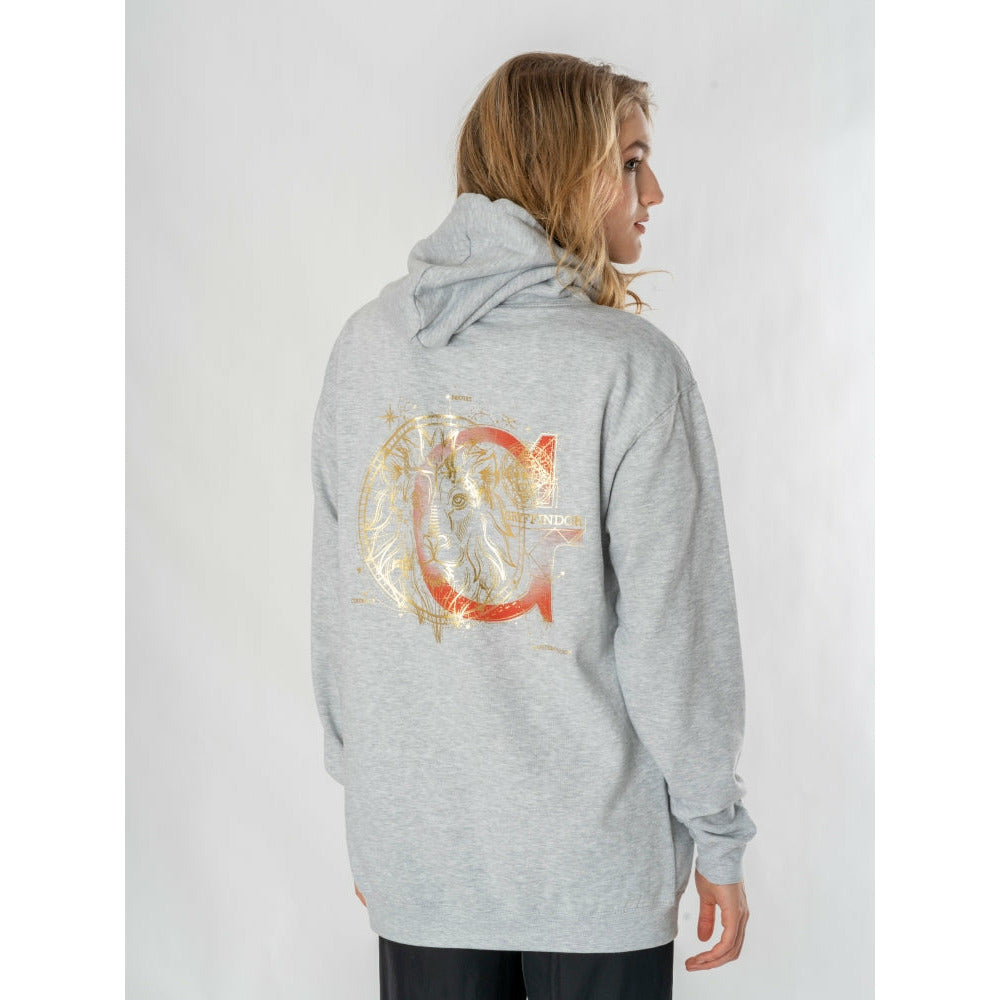 Rubies Harry Potter Unisex Grey Marl Gryffindor Zodiac Hoodie Hoodies
