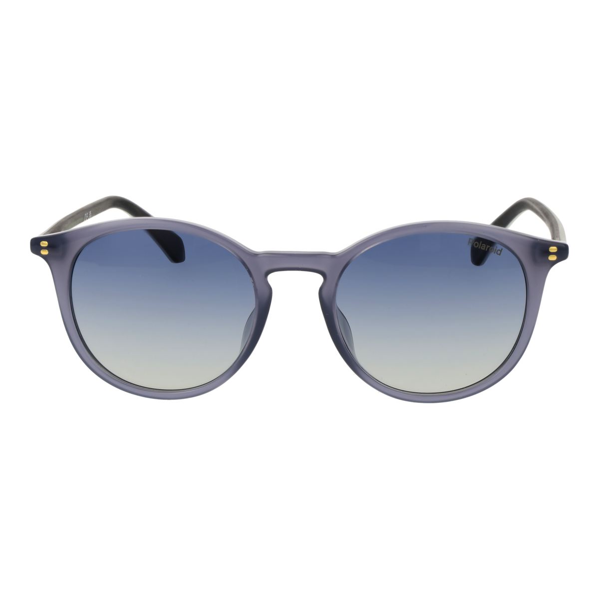 POLAROID SUNGLASSES Polaroid PLD 4206/S/X 51YB7Z7 Sonnenbrille – Detailansicht