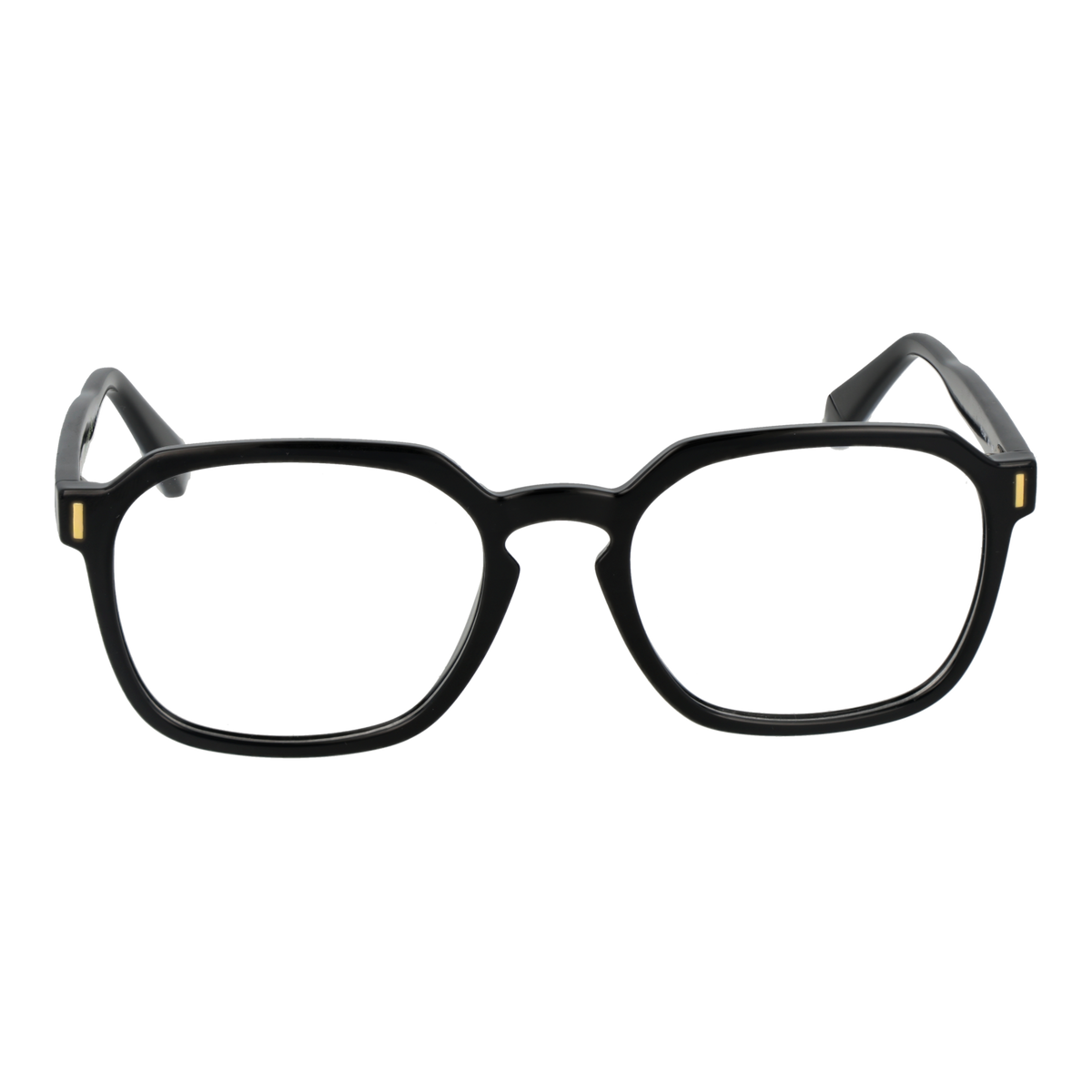 POLAROID FRAME Polaroid Brille PLD D482 5380719 – Detailansicht