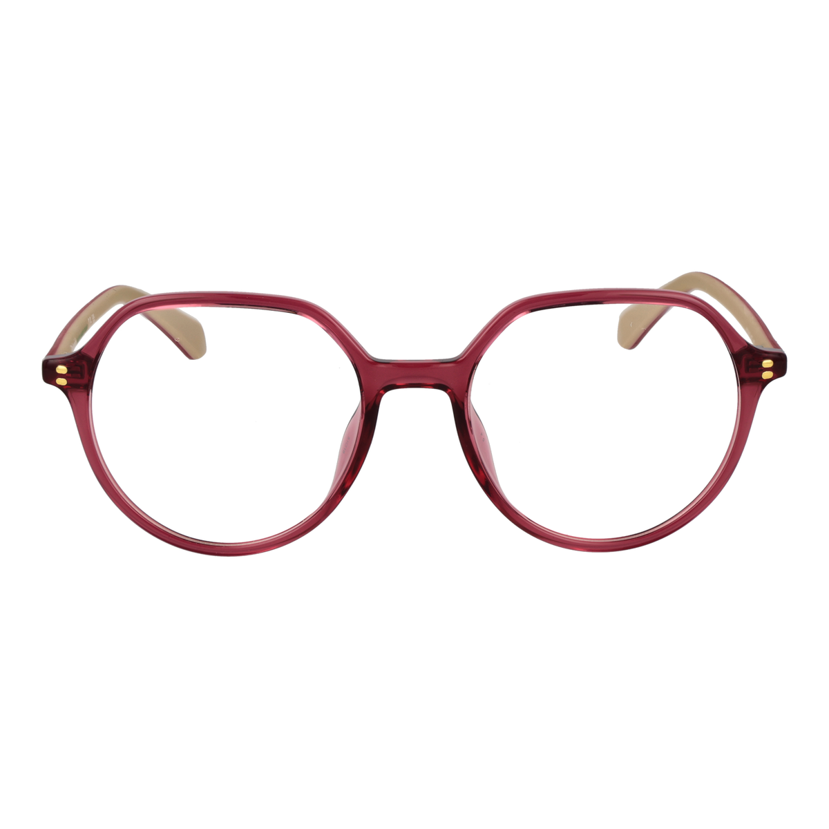 POLAROID FRAME Polaroid Brille PLD D613 510T718 – Detailansicht