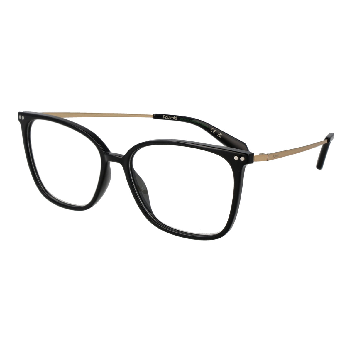 POLAROID FRAME Polaroid PLD D616 5580715 Titan Brille – Produktansicht