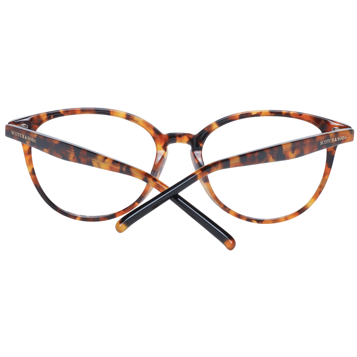 Scotch & Soda Eyewear Brille SS3007 53101 – Seitenansicht