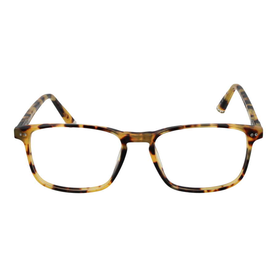 TAYLOR MORRIS EYEWEAR Taylor Morris SW16 52C3 Brille – Detailansicht