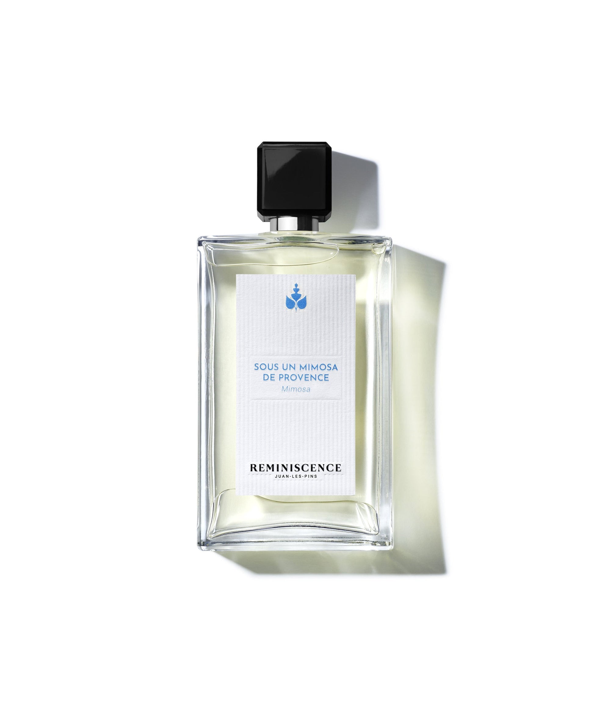 REMINISCENCE REMINISCENCE Sous Un Mimosa De Provence Eau De Toilette Intense 50 ml Parfüm