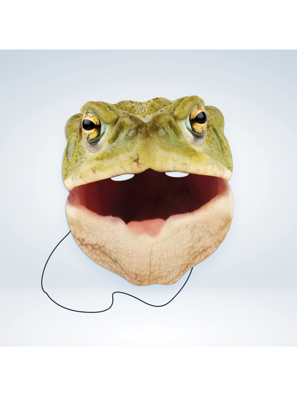 Rubies Toad Tiermaske aus Karton mit Krötenmotiv – Seitenansicht