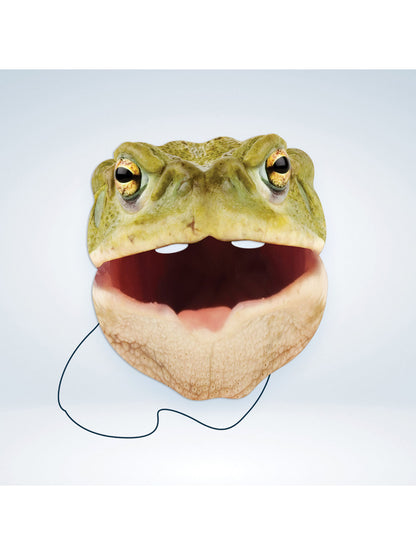 Rubies Toad Tiermaske aus Karton mit Krötenmotiv – Seitenansicht