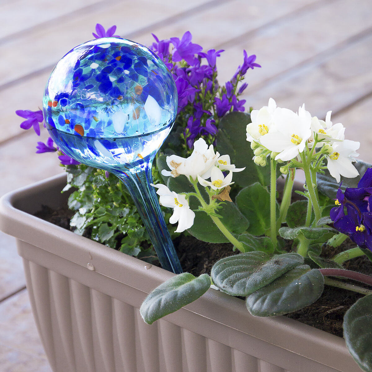 Aqua·Loon automatische Bewässerungsballons von InnovaGoods, 2 Stück, blaues Glas – Verpackung