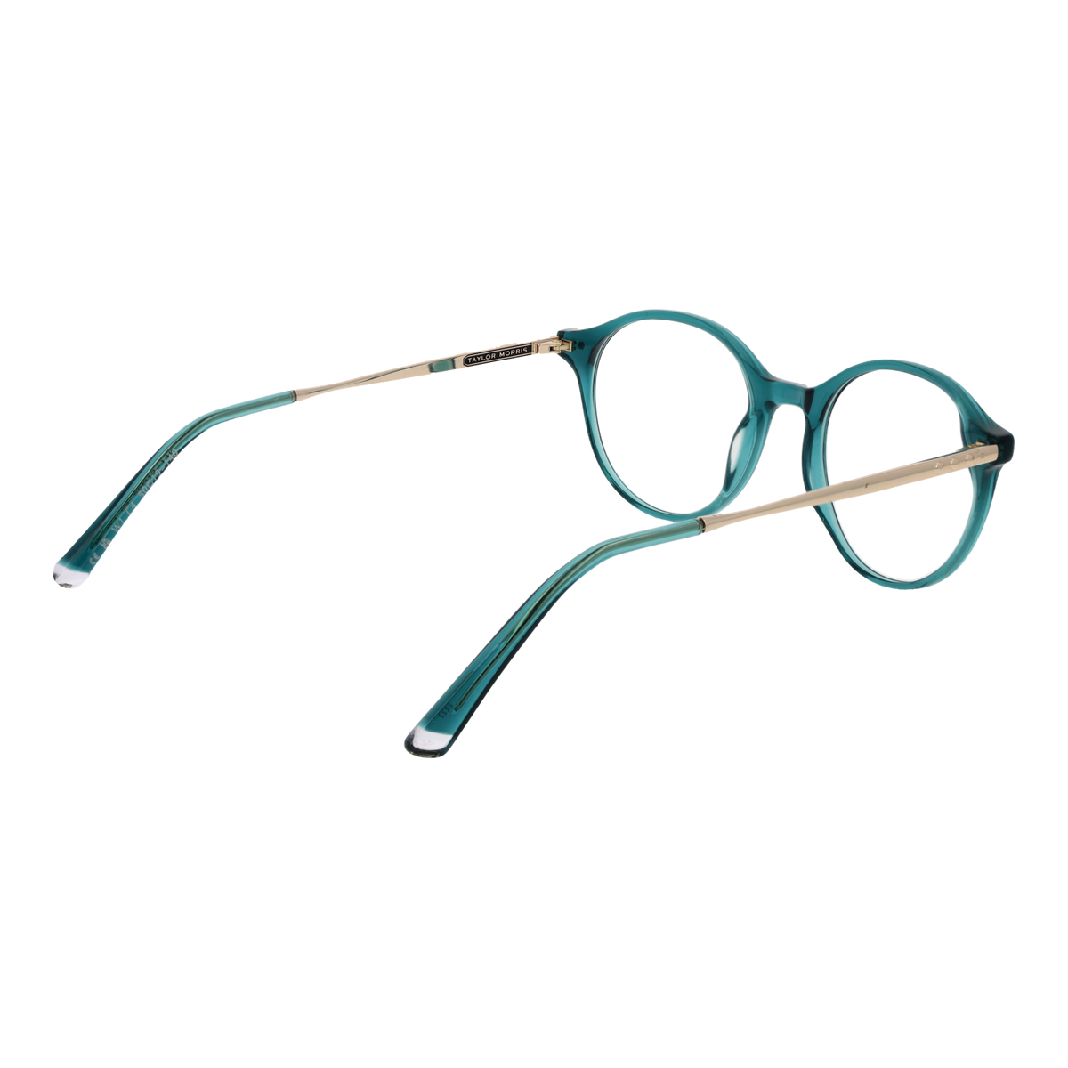 Taylor Morris W1 50C4 Brille von Taylor Morris Eyewear – Seitenansicht
