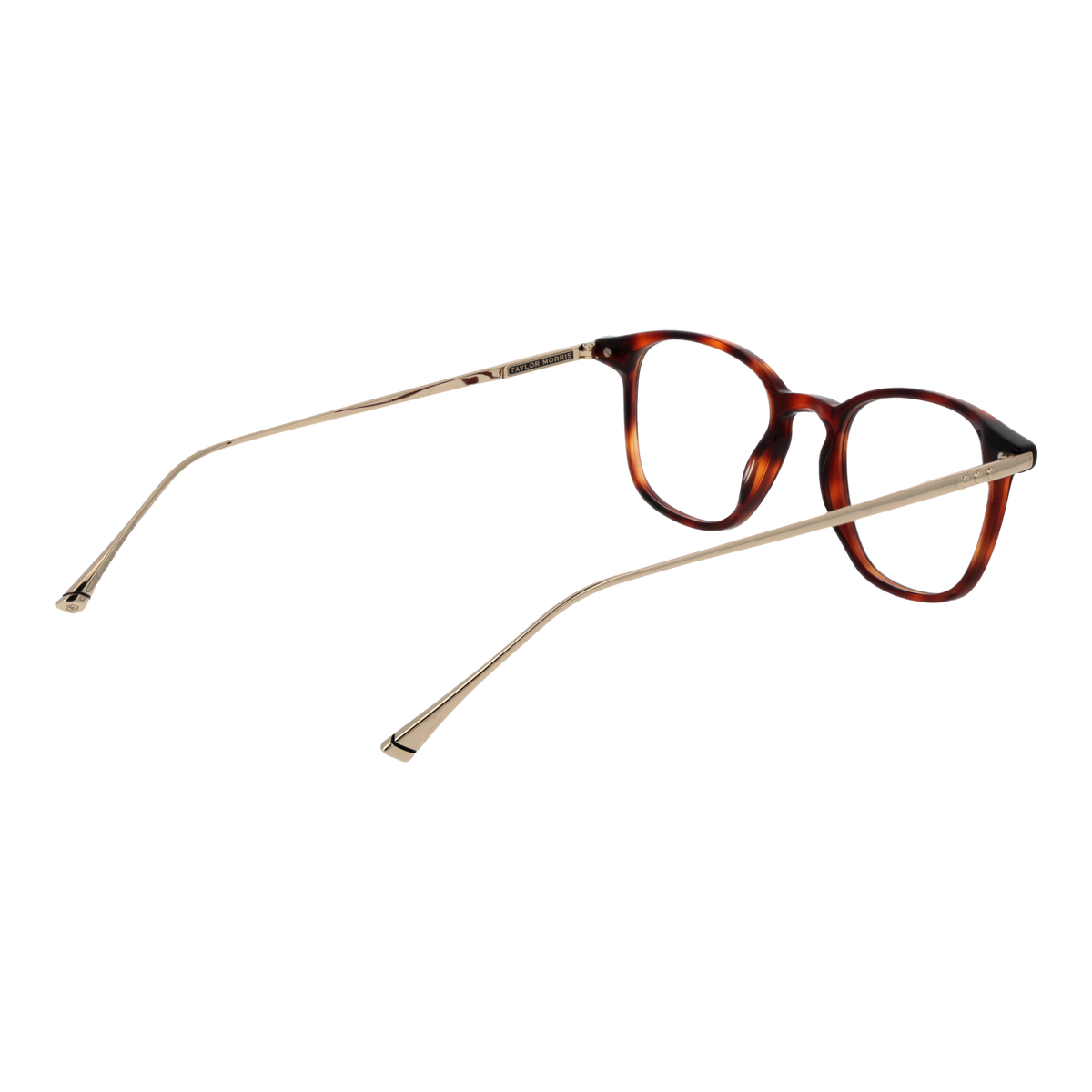 TAYLOR MORRIS EYEWEAR Taylor Morris W9 48C2 Brille – Seitenansicht