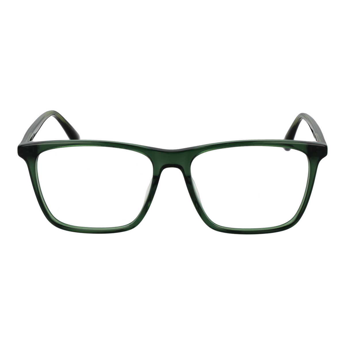 WEB Eyewear WE5418 56098 Brille – Detailansicht