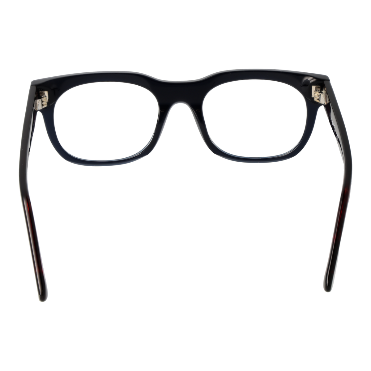 WEB EYEWEAR WE5425 53092 Brille – Seitenansicht