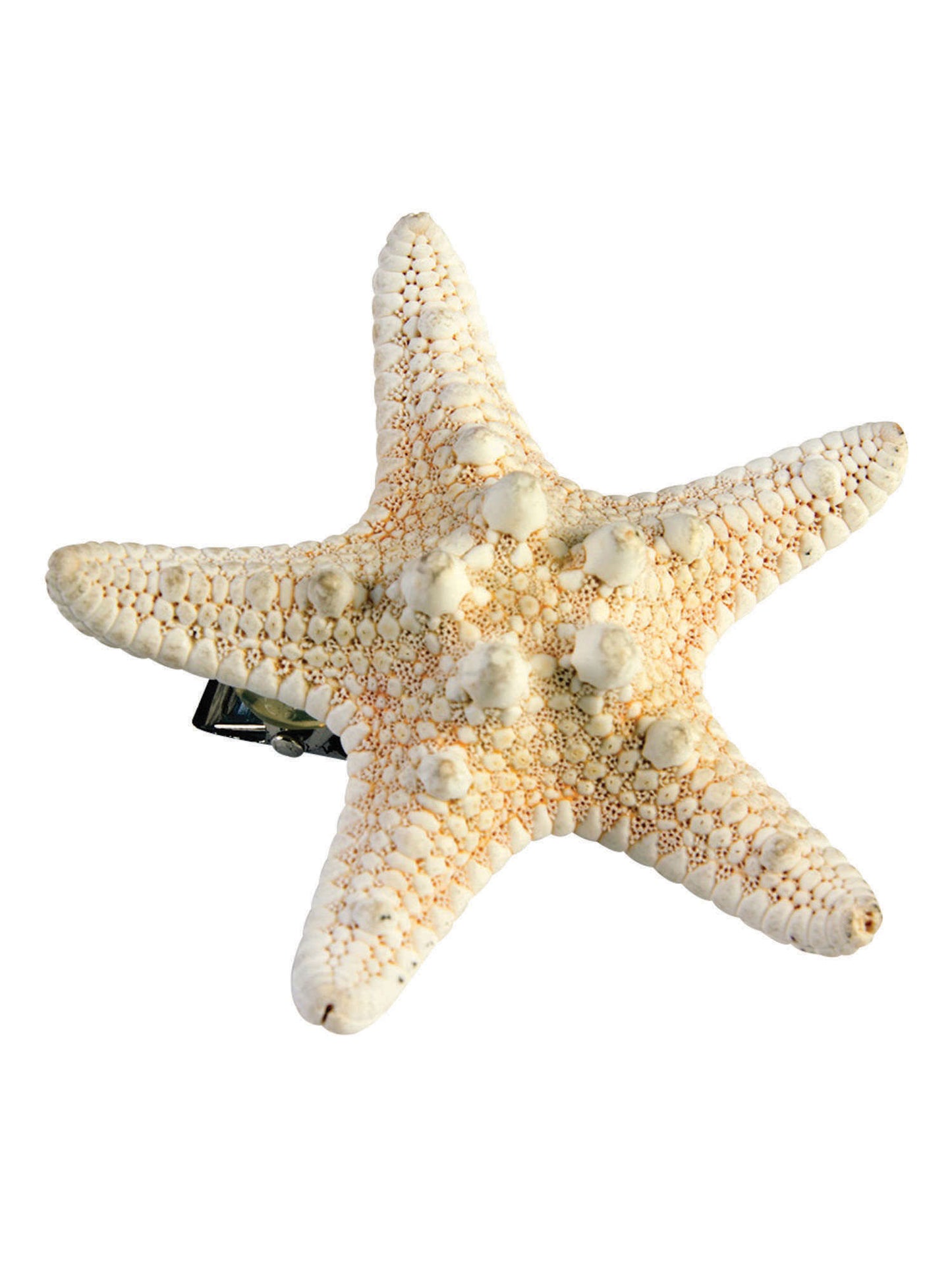 Rubies Rubies Mermaid Starfish Hairclip Jewellery