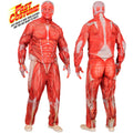 "ANATOMY FAST COSTUME" (Oberteil, Hose, Handschuhe, Maske) – Vorderansicht