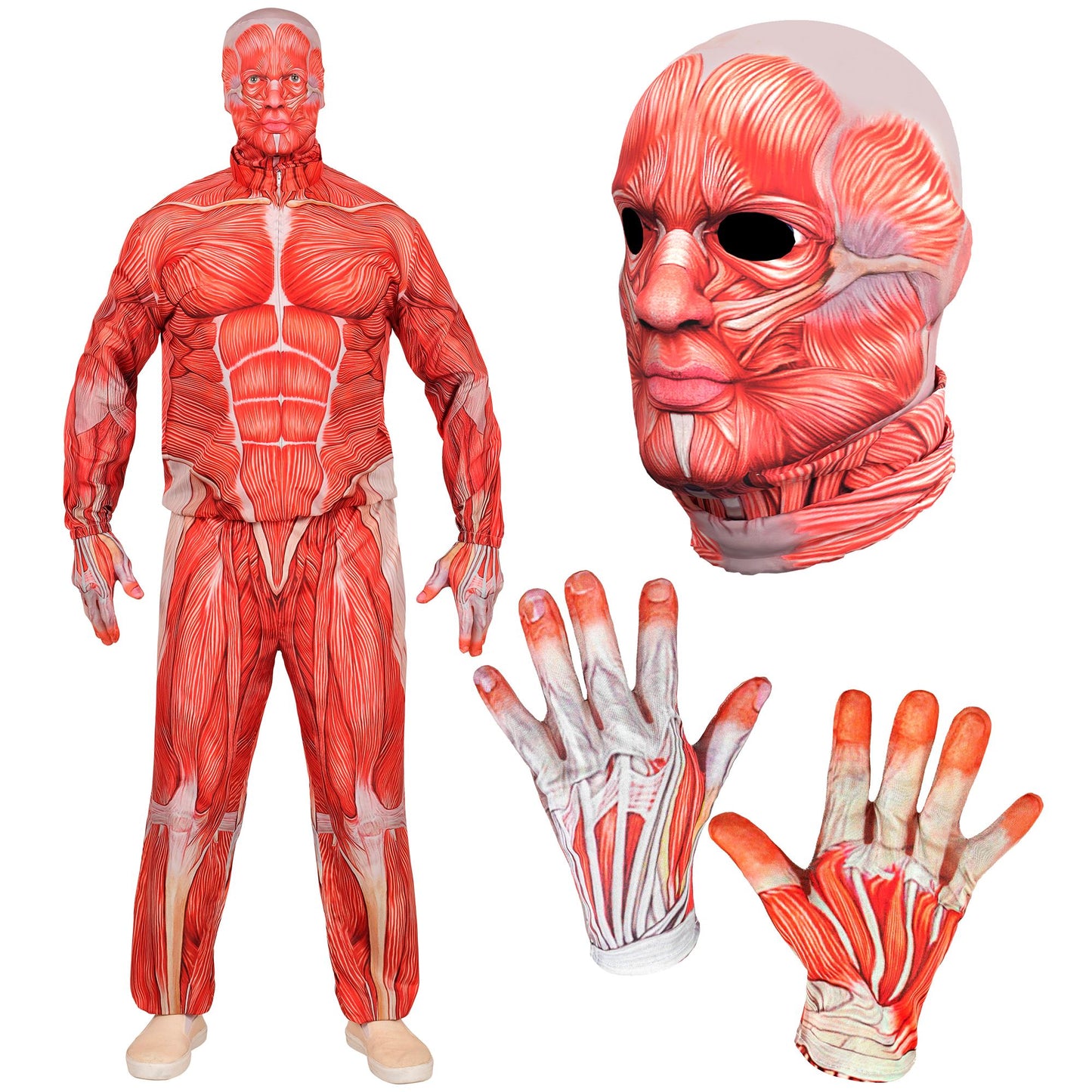 "ANATOMY FAST COSTUME" (Oberteil, Hose, Handschuhe, Maske) – Ansicht 4
