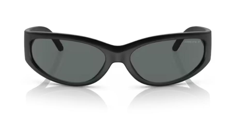 ARNETTE SUNGLASSES CATFISH AN 4302 CATFISH AN 4302_275881_65 Sonnenbrille