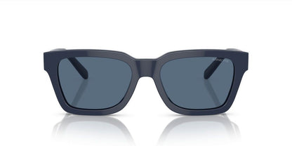 ARNETTE SUNGLASSES COLD HEART 2-0 AN 4334 COLD HEART 2-0 AN 4334_1221-80 B_53 Sonnenbrille