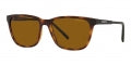 ARNETTE SUNGLASSES CORTEX AN 4291 CORTEX AN 4291_2770-83_57 Sonnenbrille ansicht-3