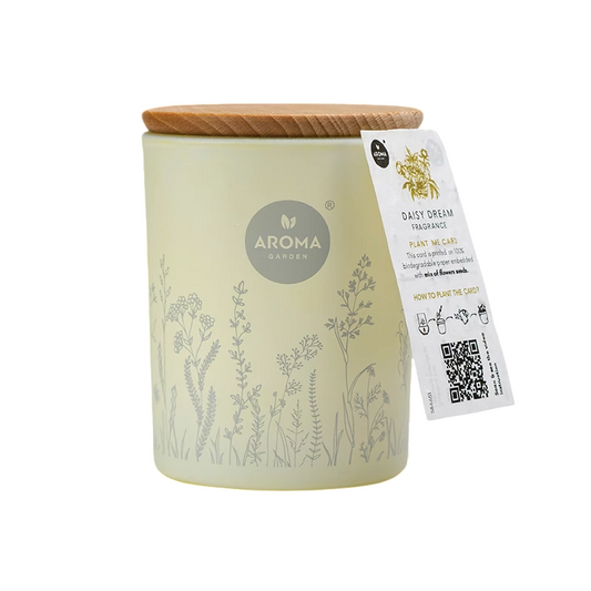 Aroma Home Aroma Home, Daisy Dream, Duftkerze, 150 g Regular