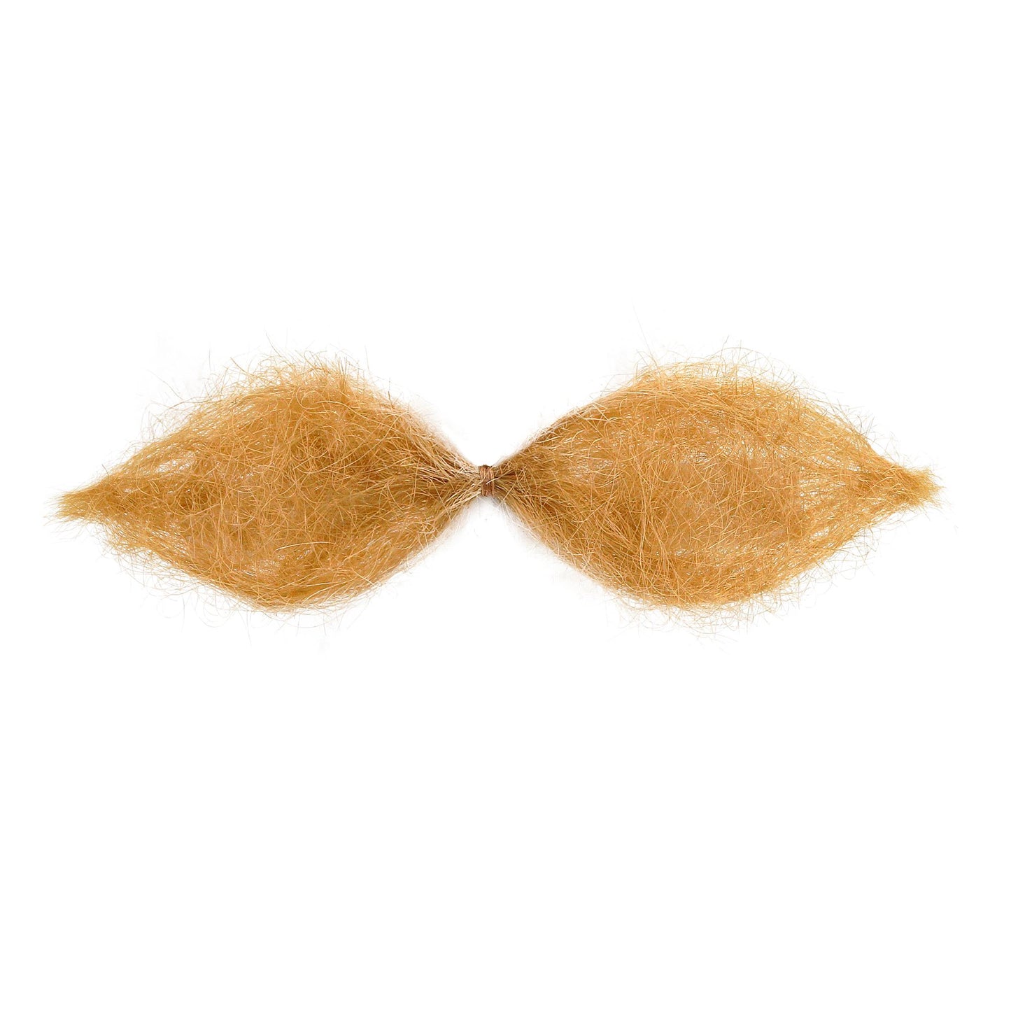 "BLONDER SCHNAUZER" – Vorderansicht