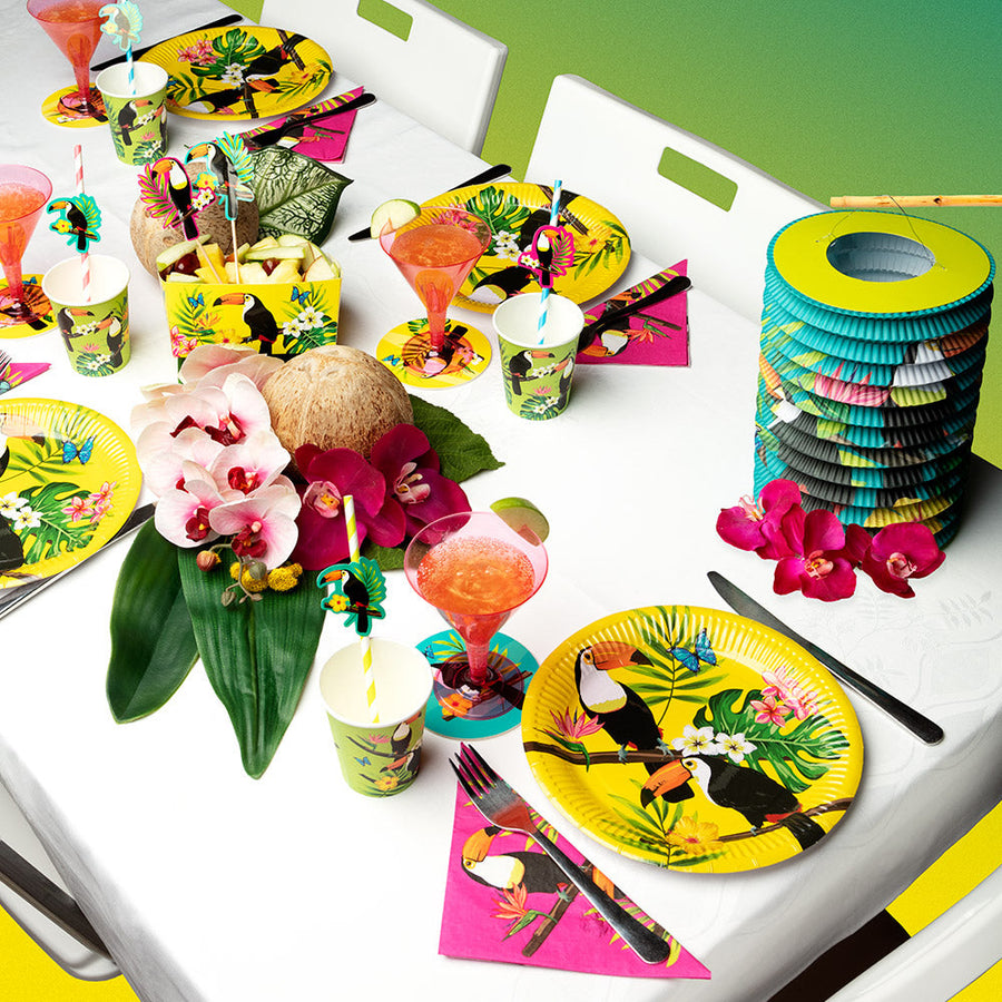 Boland Pappteller Toucan – 10 Stück, 23cm Ø, Stabiler Karton – Detailansicht