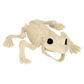 Frosch Skelett Mit Beweglichem Kiefer – 17 cm Halloween Deko Von Boland - Fasnacht24.ch