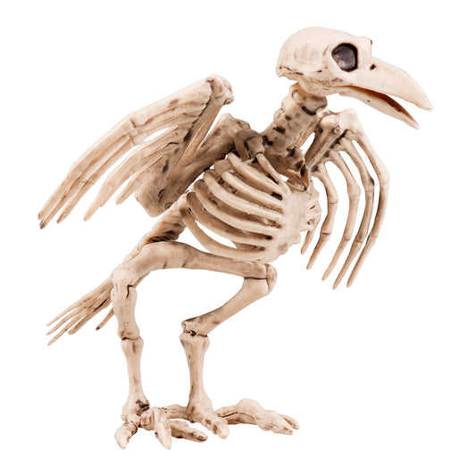 Crow Skeleton – 18 cm Halloween Deko Prop von Boland – Polyresin, Wetterfest - Fasnacht24.ch