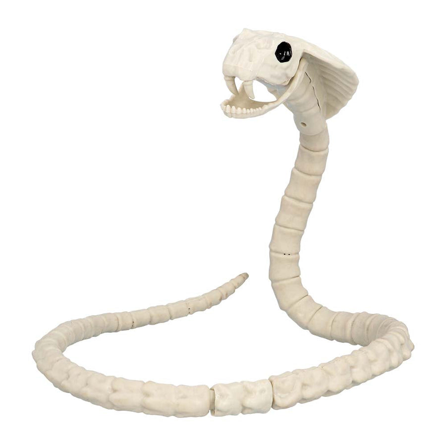 Boland Snake Skeleton Halloween Dekoration 102cm mit beweglichem Kiefer - Fasnacht24.ch