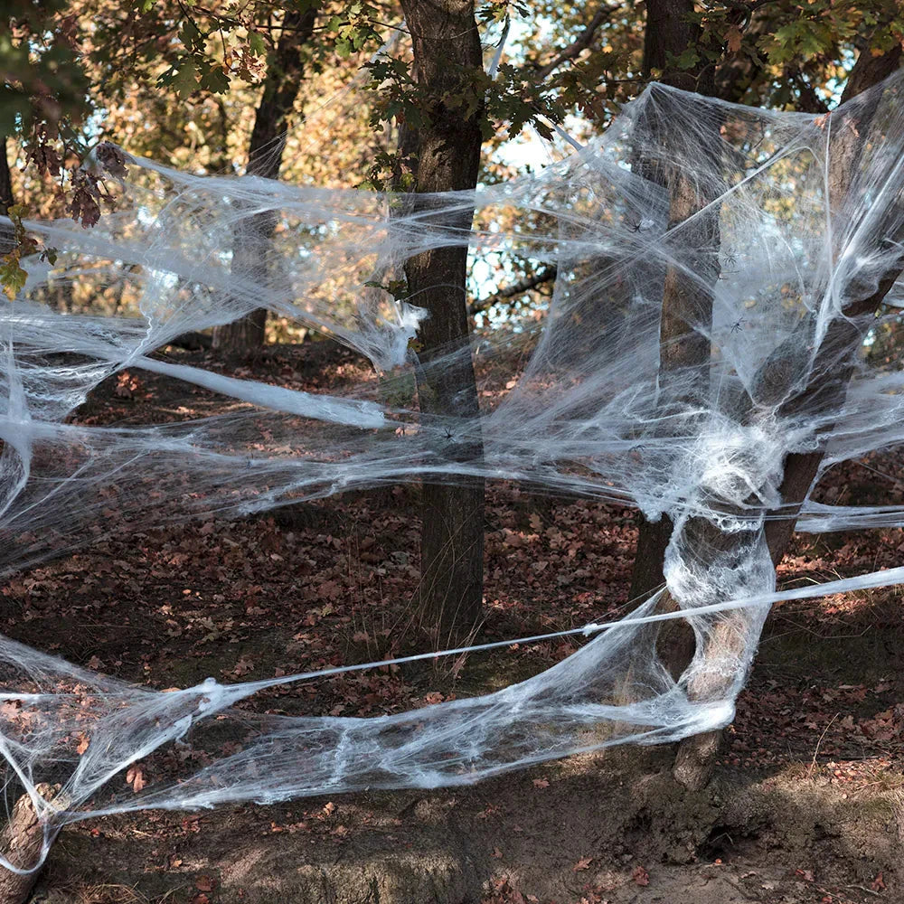 White stretchable spider web with 25 black spiders for Halloween decor.