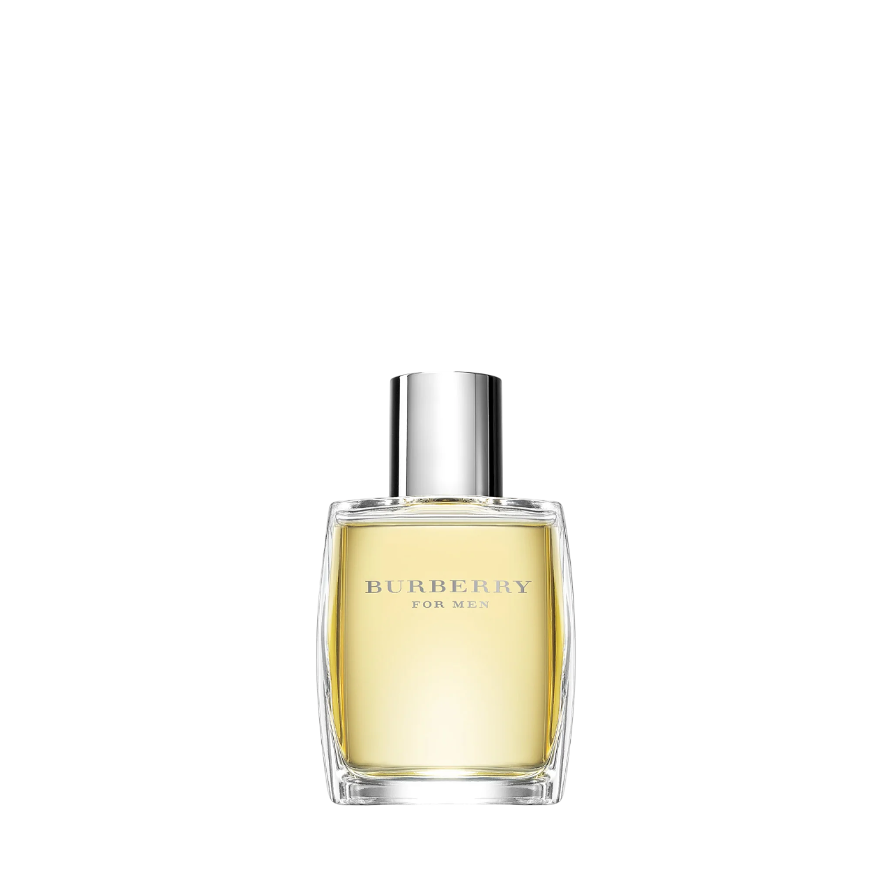 Burberry Burberry, For Men, Eau de Toilette, Für Männer, 100 ml Regular