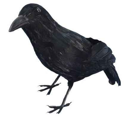 Gefiederte Krähe 32 cm – Realistische Schwarze Deko von Chaks - Fasnacht24.ch