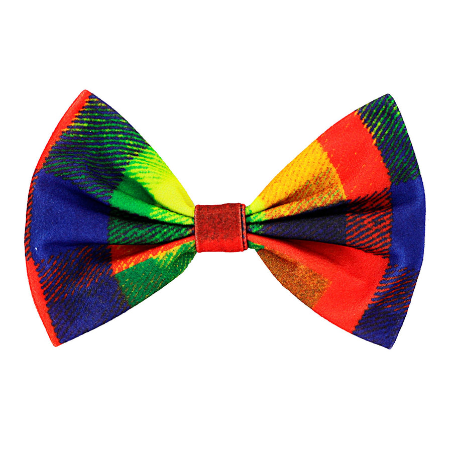 "CLOWN" (Fliege) – Vorderansicht