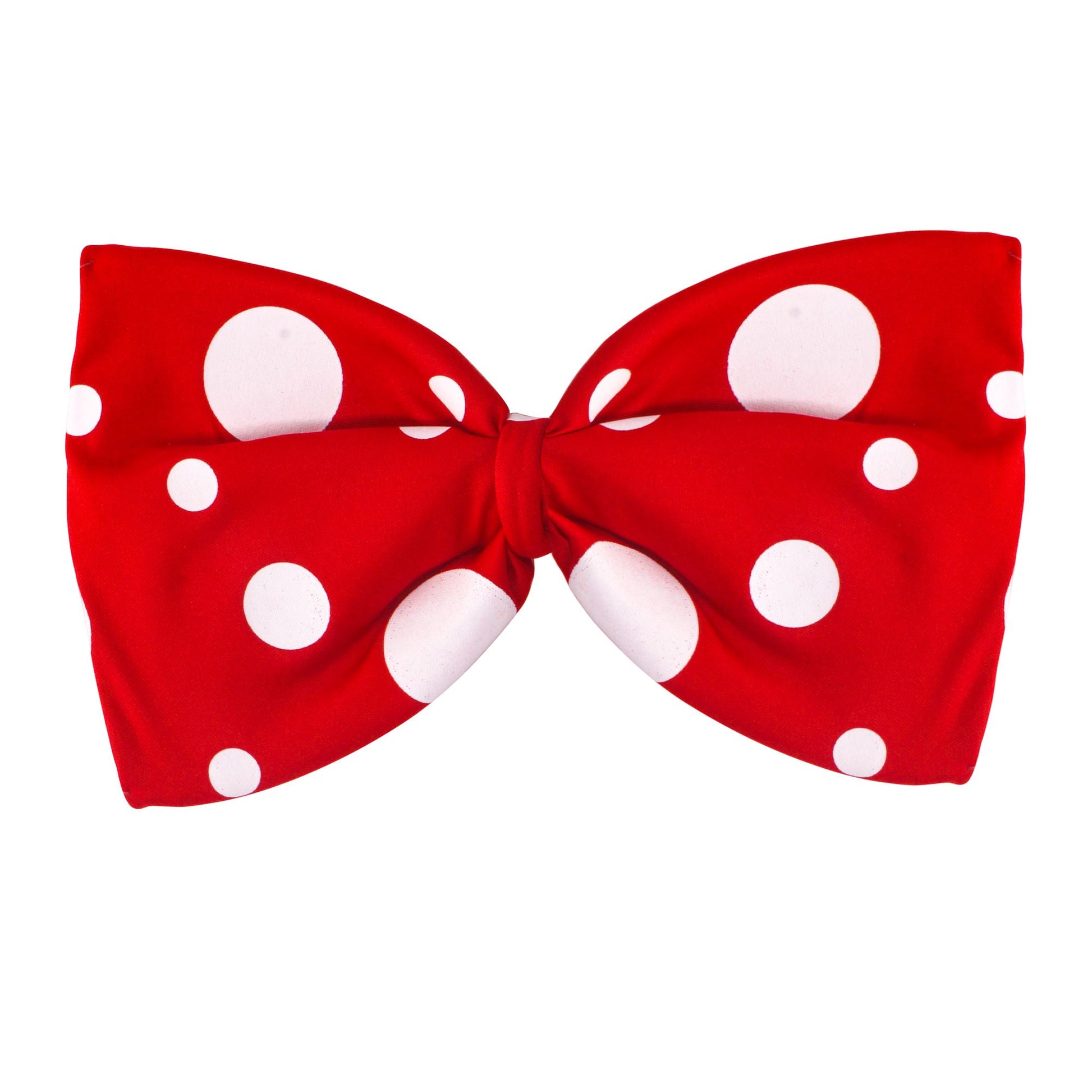 "CLOWNSFLIEGE" – Vorderansicht