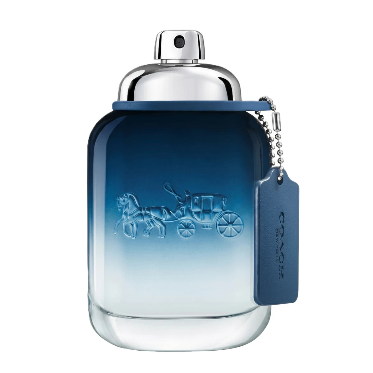 COACH BLUE MAN EDT 100 ML