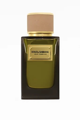 D&G VELVET TENDER OUD EDP 100 ML