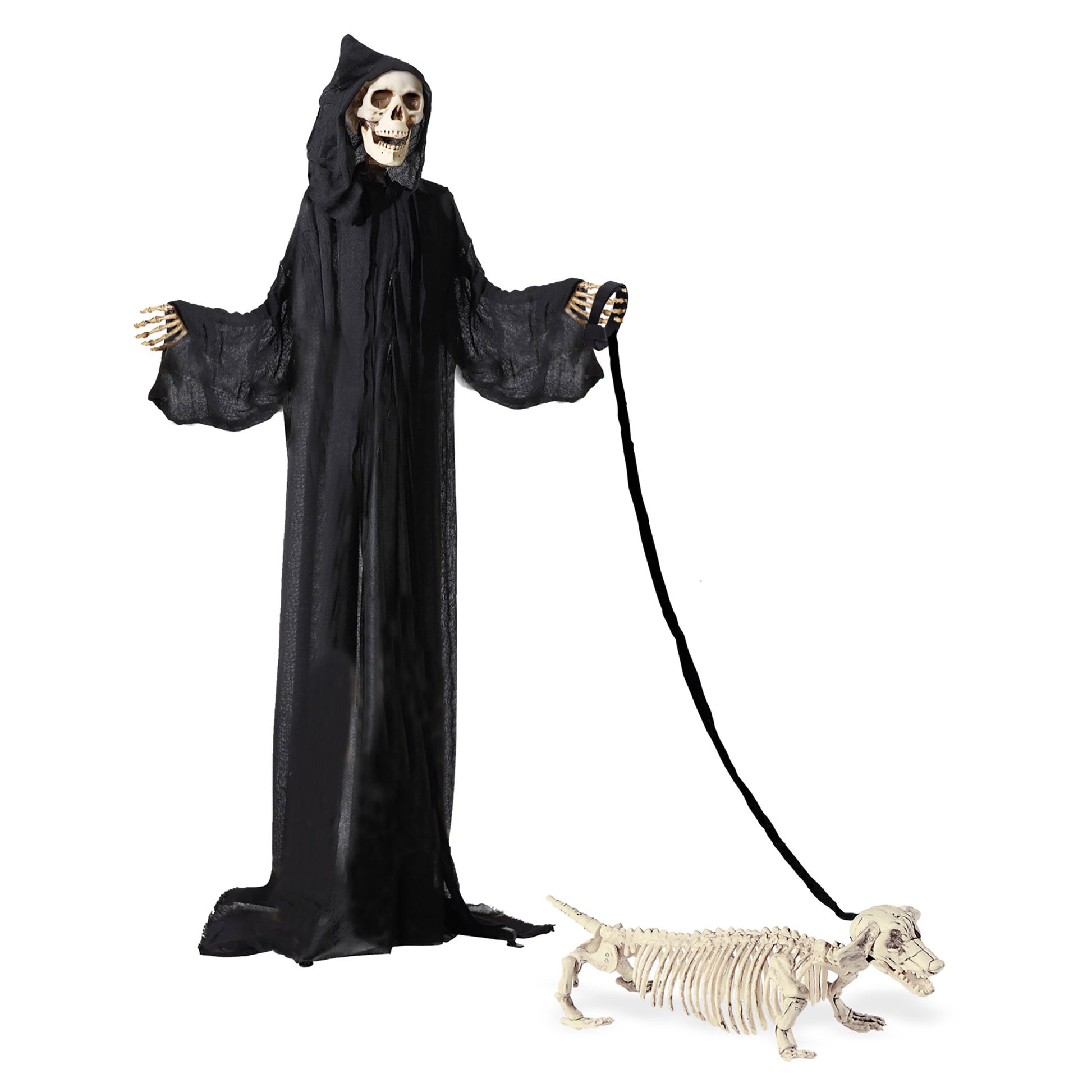 "DACKELSKELETT MIT LEINE" 55 cm – Detailansicht
