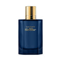 Davidoff, Cool Elixir, Eau de Parfum, Für Männer, 100 ml