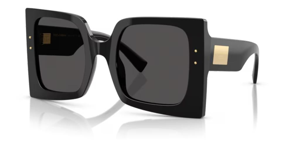 DOLCE & GABBANA SUNGLASSES DG 4490 DG 4490_501-87_53 Sonnenbrille ansicht-2
