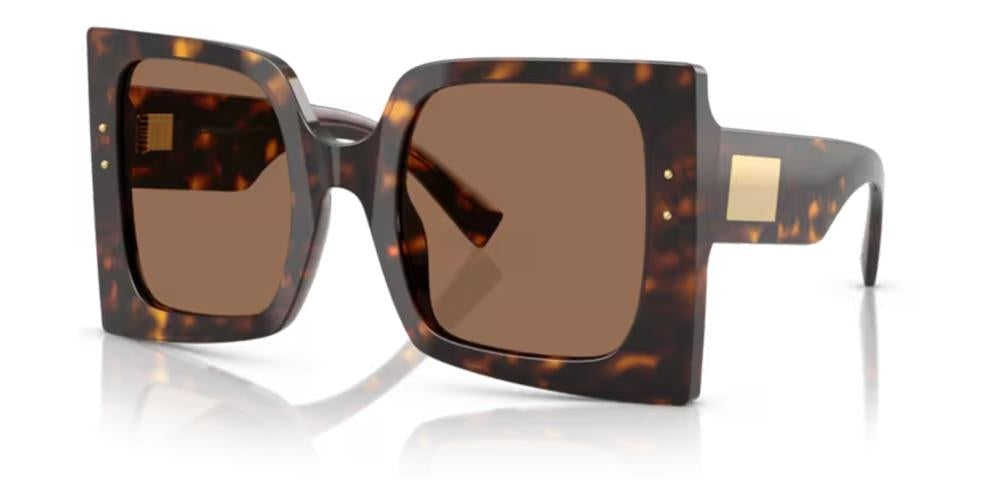 DOLCE & GABBANA SUNGLASSES DG 4490 DG 4490_502-73_53 Sonnenbrille ansicht-2