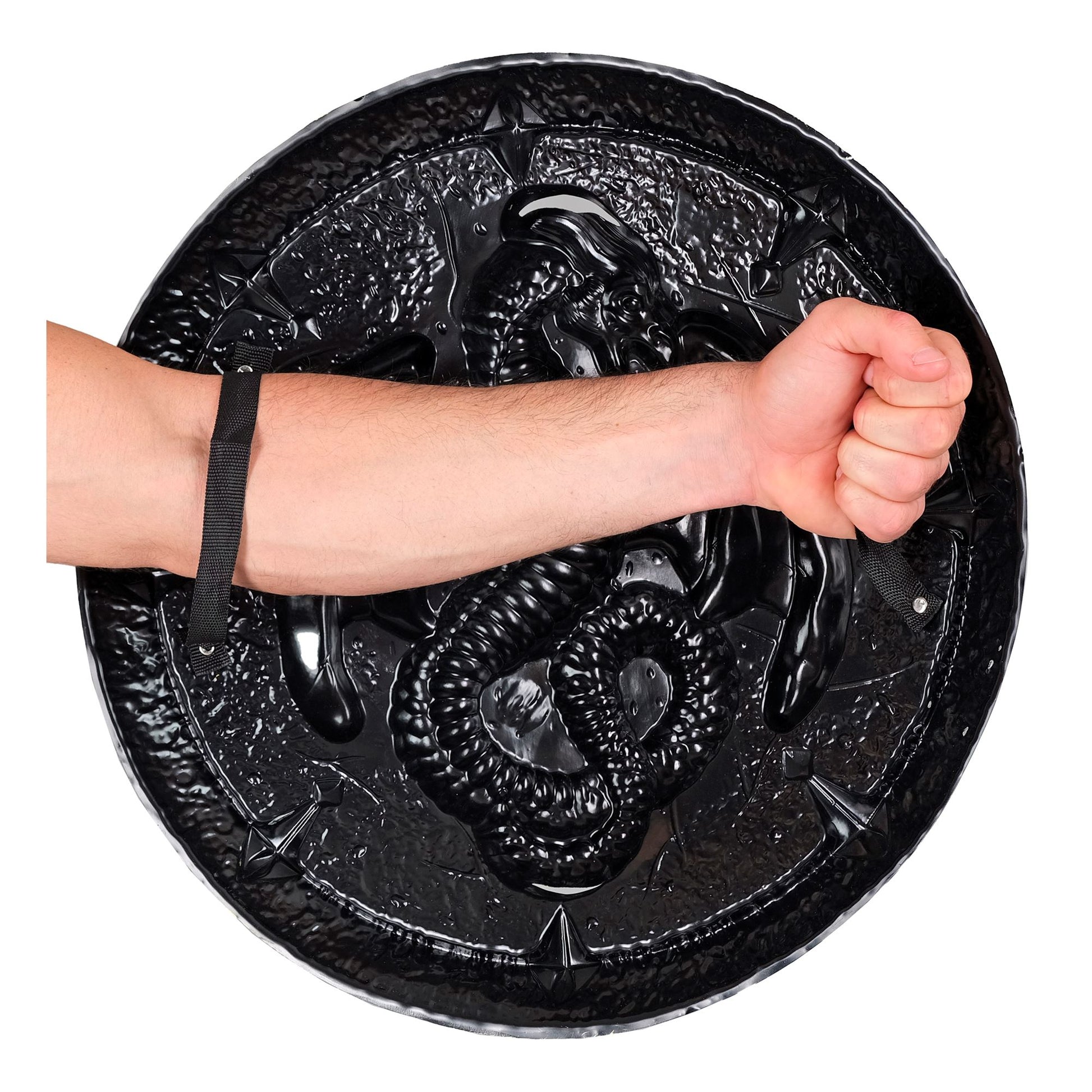 "DRACHENSCHILD MIT GRIFFEN" 48 cm – Detailansicht