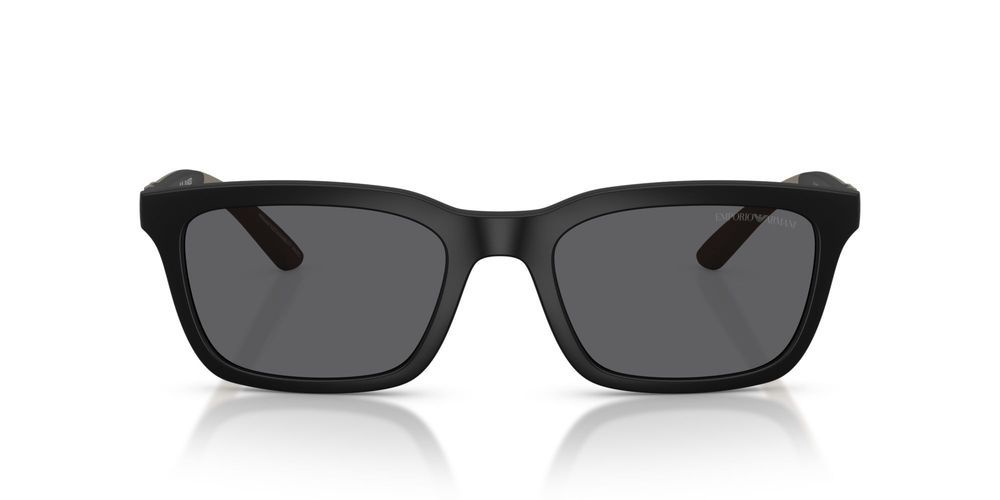 EMPORIO ARMANI SUNGLASSES EA 4249U EA 4249U_500181_55 Sonnenbrille
