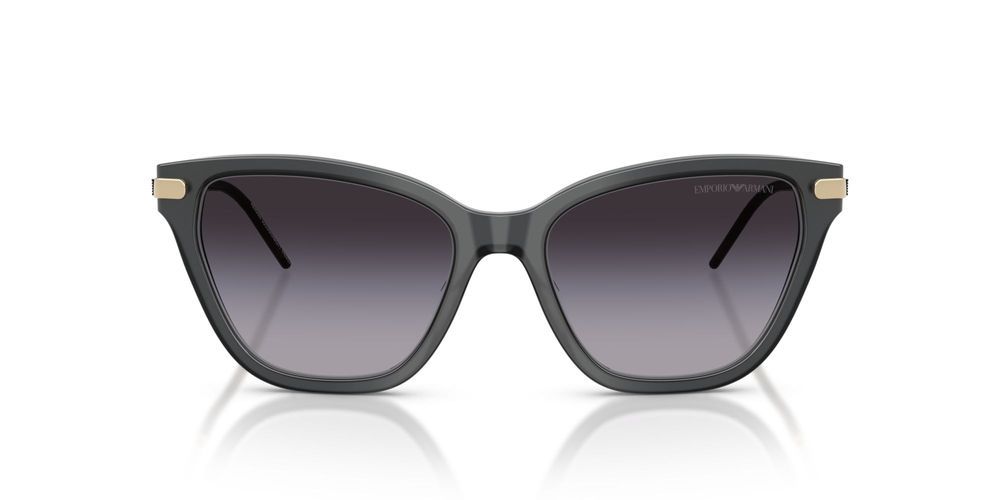 EMPORIO ARMANI SUNGLASSES EA 4251 EA 4251_62628G_54 Sonnenbrille