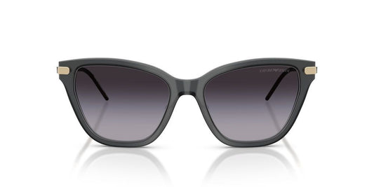 EMPORIO ARMANI SUNGLASSES EA 4251 EA 4251_62628G_54 Sonnenbrille