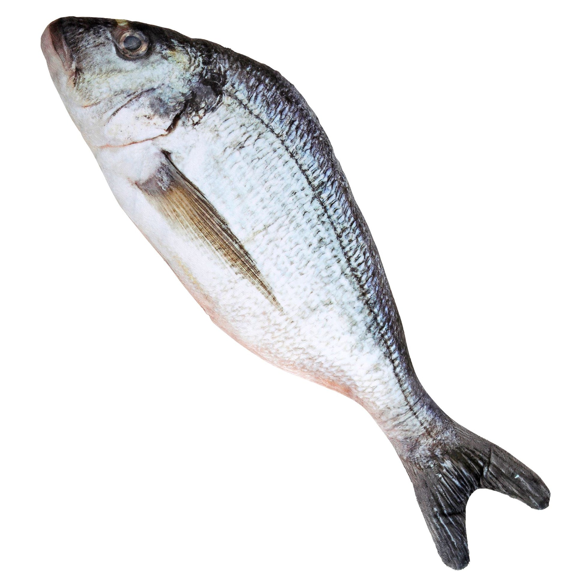 "FISCH" 55 cm – Vorderansicht