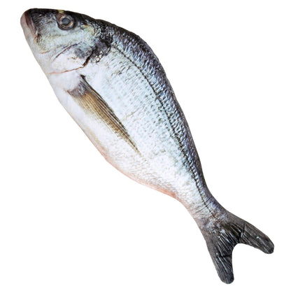 "FISCH" 55 cm – Vorderansicht