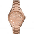 FOSSIL DAYLE BQ3596 Armbanduhr 38 mm ansicht-2