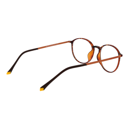 FUNKY BUDDHA EYEWEAR FBD1003 50002 Sonnenbrille ansicht-2