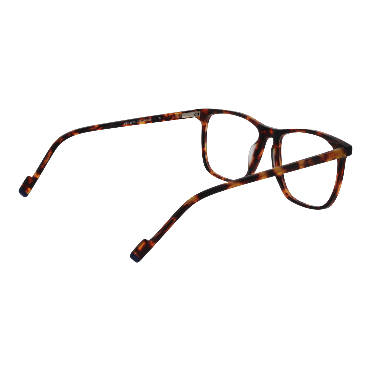 FUNKY BUDDHA EYEWEAR FBD1073 56003 Sonnenbrille ansicht-2