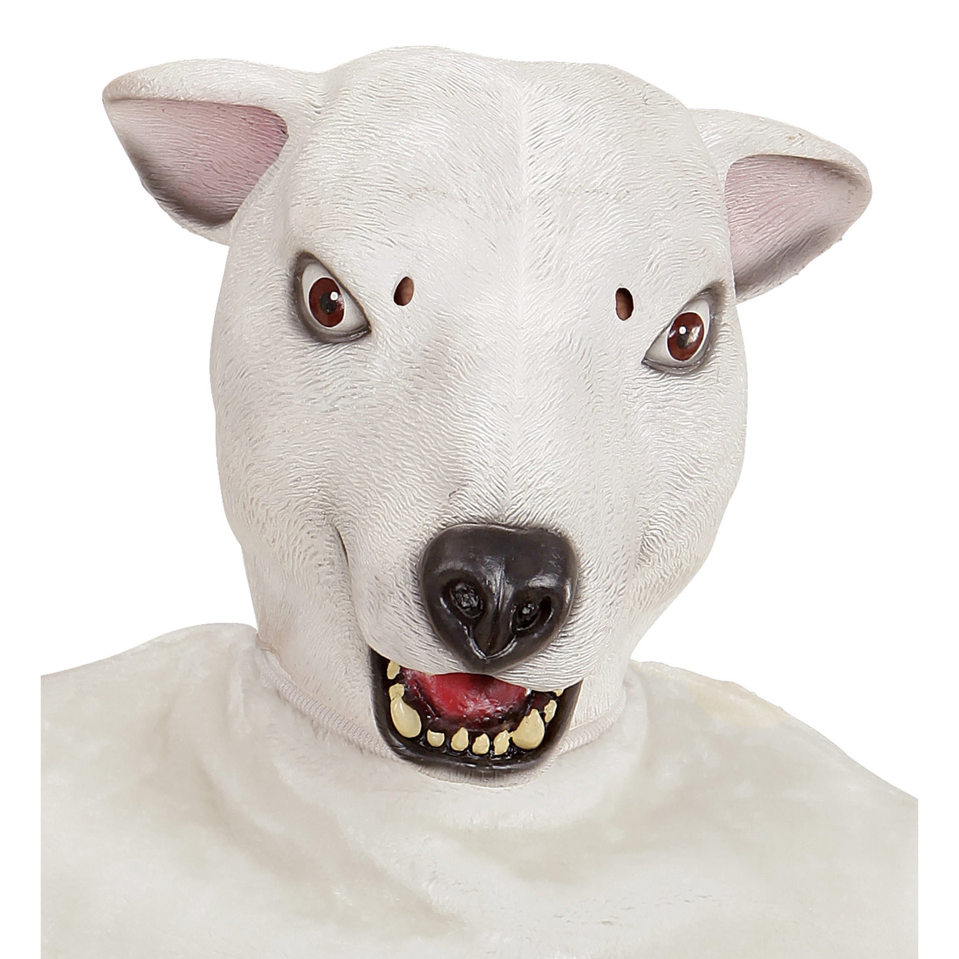 "GANZKOPF MASKE EISBÄR" – Vorderansicht