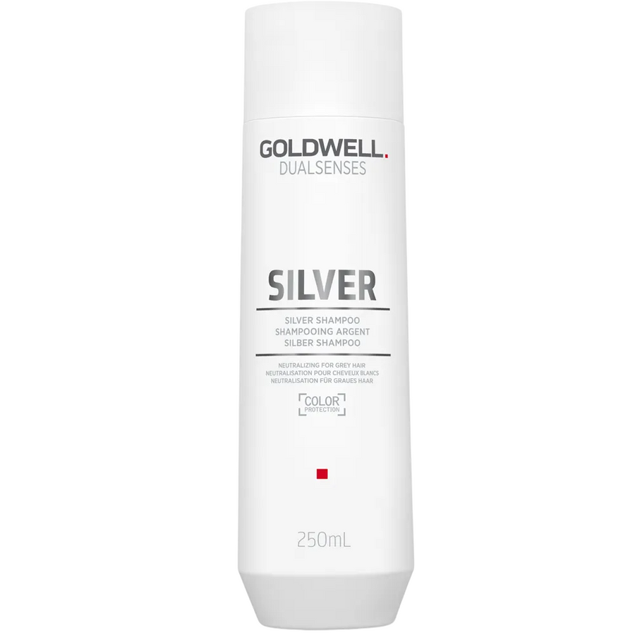 Goldwell Dualsenses Silver Silbershampoo gegen Gelbstich 250 ml